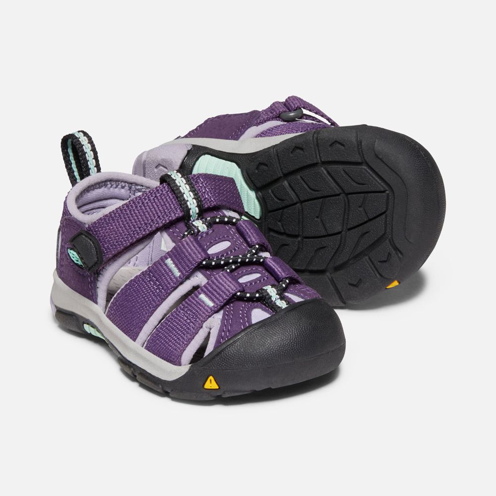 Sandalias Keen Mexico Morados - Niños Newport H2 - MF7295143